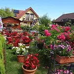 Zlote Piaski * Mielenko