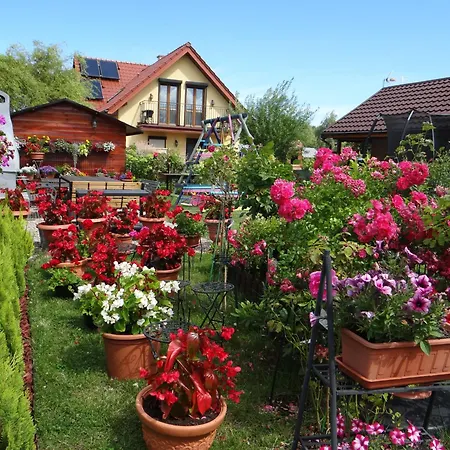 Zlote Piaski * Mielenko